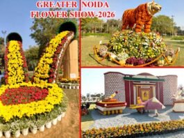 ग्रेटर नोएडा के सिटी पार्क में पुष्प प्रदर्शनी का आगाज: ड्रोन शो, ऑपरेशन सिंदूर व अन्य आकृतियां बनी आर्कषण का केंद्र