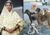 Woman dies 10 days after dog bite in Sector Beta-2, Greater Noida.