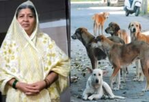 ग्रेटर नोएडा के सेक्टर बीटा-2 में कुत्ते के काटने के 10 दिन बाद महिला की हार्ट अटैक से मौत Woman dies 10 days after dog bite in Sector Beta-2, Greater Noida.