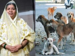 ग्रेटर नोएडा के सेक्टर बीटा-2 में कुत्ते के काटने के 10 दिन बाद महिला की हार्ट अटैक से मौत Woman dies 10 days after dog bite in Sector Beta-2, Greater Noida.