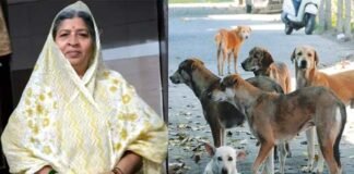 ग्रेटर नोएडा के सेक्टर बीटा-2 में कुत्ते के काटने के 10 दिन बाद महिला की हार्ट अटैक से मौत Woman dies 10 days after dog bite in Sector Beta-2, Greater Noida.