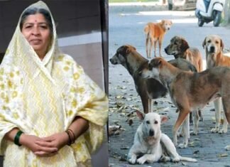 ग्रेटर नोएडा के सेक्टर बीटा-2 में कुत्ते के काटने के 10 दिन बाद महिला की हार्ट अटैक से मौत Woman dies 10 days after dog bite in Sector Beta-2, Greater Noida.