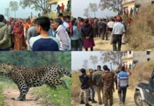 पौड़ी में गुलदार 47 वर्षीय व्यक्ति को बनाया निवाला, ग्रामीणों में दहशत