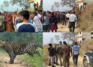पौड़ी में आदमखोर गुलदार का आतंक जारी, 47 वर्षीय व्यक्ति को बनाया निवाला