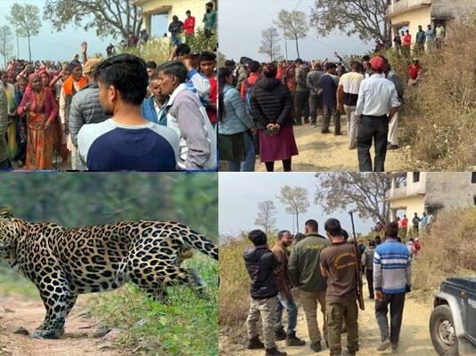 पौड़ी में आदमखोर गुलदार का आतंक जारी, 47 वर्षीय व्यक्ति को बनाया निवाला