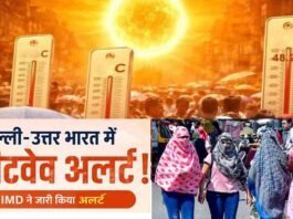 दिल्ली-NCR में प्रचंड गर्मी और लू का कहर, यूपी का यह जिला देश में सबसे गर्म, आज 11 जिलों में गर्मी और लू का रेड अलर्ट heat and heat wave wreak havoc in Delhi-NCR