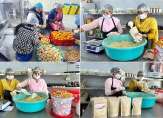 पौड़ी में माल्टा के छिलकों से तैयार हो रहे हर्बल कॉस्मेटिक उत्पाद, पहाड़ की महिलाओं के लिए बन रहे आत्मनिर्भरता की नयी पहचान Malta peels harbal cosmetics