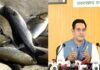 इंटरनेशनल मार्केट में पहुंची उत्तराखंड की मछली, पहली बार पांच मीट्रिक टन रेनबो ट्राउट मछली का निर्यात renbow-trout-fish-uttarakhand