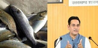 इंटरनेशनल मार्केट में पहुंची उत्तराखंड की मछली, पहली बार पांच मीट्रिक टन रेनबो ट्राउट मछली का निर्यात renbow-trout-fish-uttarakhand