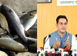 इंटरनेशनल मार्केट में पहुंची उत्तराखंड की मछली, पहली बार पांच मीट्रिक टन रेनबो ट्राउट मछली का निर्यात renbow-trout-fish-uttarakhand