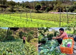 पलायन छोड़ खेती से लिखी सफलता की कहानी: पौड़ी के नरेश भट्ट सालाना 8 लाख रुपये बचा रहे, 7 महिलाओं को दिया रोजगार Naresh Bhatt from Pauri is saving 8 lakh annually through modern farming