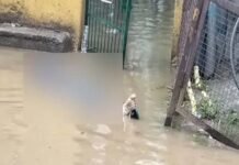 इंदिरापुरम में बारिश के कारण पार्क में भरे पानी में दौड़ा करंट, 25 वर्षीय युवक की मौत Youth dies after coming into contact with live current