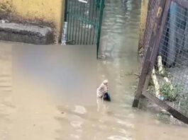 इंदिरापुरम में बारिश के कारण पार्क में भरे पानी में दौड़ा करंट, 25 वर्षीय युवक की मौत Youth dies after coming into contact with live current