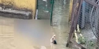 इंदिरापुरम में बारिश के कारण पार्क में भरे पानी में दौड़ा करंट, 25 वर्षीय युवक की मौत Youth dies after coming into contact with live current