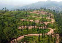 पौड़ी गढ़वाल के ऐराड़ी गांव की 112 नाली भूमि खरीद मामला: जांच पूरी होने तक निर्माण कार्य पर लगी रोक Airadi village, Pauri Garhwal