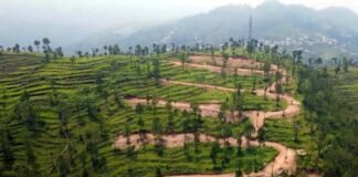 पौड़ी गढ़वाल के ऐराड़ी गांव की 112 नाली भूमि खरीद मामला: जांच पूरी होने तक निर्माण कार्य पर लगी रोक Airadi village, Pauri Garhwal