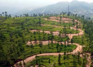 पौड़ी गढ़वाल के ऐराड़ी गांव की 112 नाली भूमि खरीद मामला: जांच पूरी होने तक निर्माण कार्य पर लगी रोक Airadi village, Pauri Garhwal