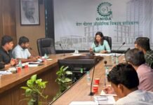 दिवाली पर रोशनी से जगमगाएगा ग्रेटर नोएडा, प्रवेश द्वार और गोलचक्करों पर होगी विशेष प्रकाश व्यवस्था