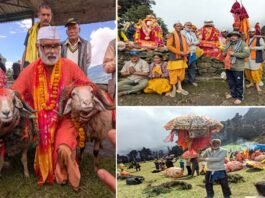 कुछ लोग केवल उपचार नहीं करते, बल्कि जीवन भी लौटा देते हैं: राजेश पंत