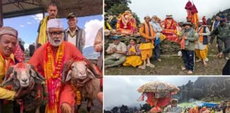 कुछ लोग केवल उपचार नहीं करते, बल्कि जीवन भी लौटा देते हैं: राजेश पंत